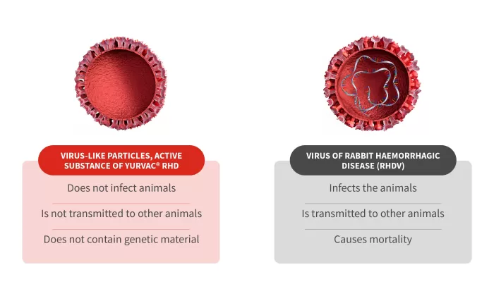 rhd virus table